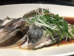 -京香轩·中餐厅(上海中庚聚龙酒店)