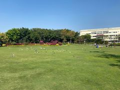 -白鹭洲公园
