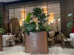 -香港龙凤楼(陆家嘴中心店)