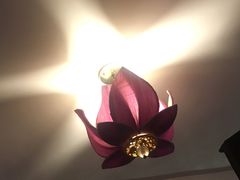 灯-火燒雲傣家菜(鼓楼店)