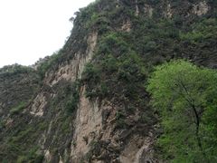-Local泰莲庭(虹鳟鱼店)