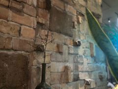 -陶享时光西餐·下午茶·竹林花园(新城店)