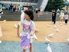 -烟台海昌鲸鲨海洋公园