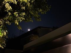 -青桃餐厅