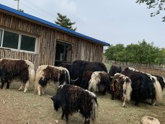 -大青山野生动物园