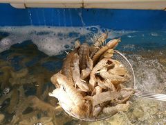 -四海蒸鲜蒸汽海鲜自助(北戴河店)