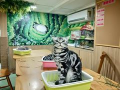 -藦茜花园宠物主题亲子互动体验馆(国顺东路店)