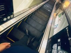-上海月星家居(澳门路店)