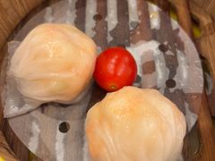 -潮江春(阳光店)