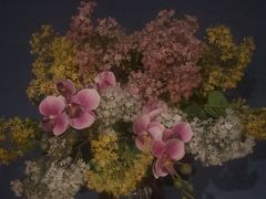 -江南足纪·影院足道·轻奢SPA(笋岗HALO广场店)