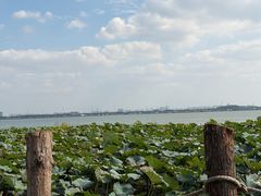 -七的湖·晚芳亭·阳澄湖农家菜·大闸蟹(莲花岛店)