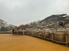 -武汉动物园