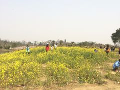 -艾溪湖湿地公园