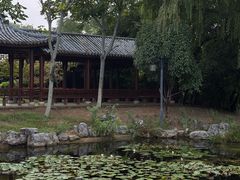 -金银湖国家城市湿地公园