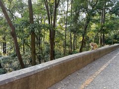 -黔灵山公园