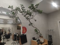 -艺鑫发型工作室YX·HAIR STUDIO