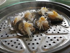 帶子-湛香海鲜城(三乡店)