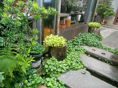 -三溪村
