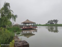 -苏州湾·王焰温泉