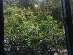 -龙井壹号·茶缘山景宴(龙井村店)