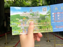 -西双版纳原始森林公园