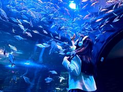 -成都浩海立方海洋公园