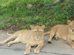 -西安秦岭野生动物园