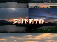 -风云岭森林公园