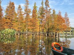 -白鹭湾湿地公园