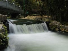 -杭州植物园