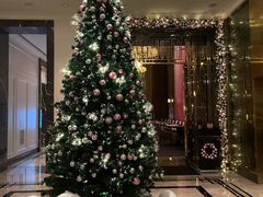 -东海朗廷酒店·廷廊 Palm Court
