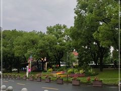 -江湾体育中心游泳馆