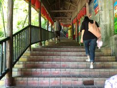 -鲤鱼塘农家山庄