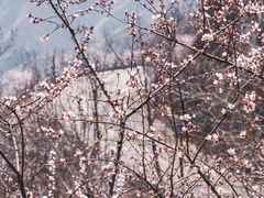 -龙泉峪长城