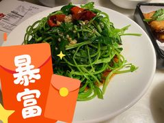 -佬肥猫(国华广场店)