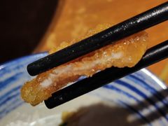 最东北锅包肉-95号酱骨·一块豆腐(展春园西路店)