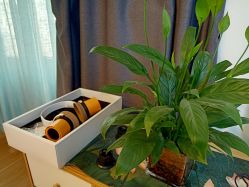 -蜗艾蜗家美容养生艾灸馆