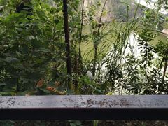 景点-南岗山公园