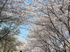 -白塘生态植物园