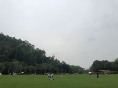 -顺峰山公园