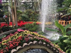 -北京植物园-展览温室