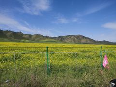 -扁都口生态休闲旅游区