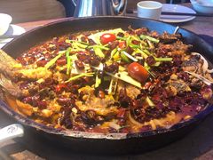 -老板恋上鱼(恒隆广场店)