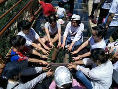 -少华山国家森林公园