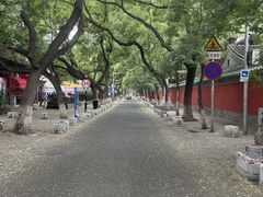 -北京国子监胡同
