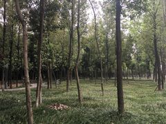 -亮佳鸿华二手市场