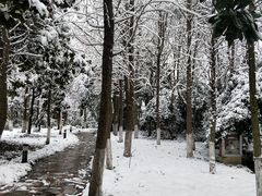 -春兰国宾馆(凤城河风景区老街店)