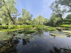 -承德避暑山庄景区