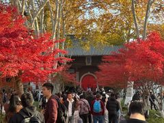 -灵谷景区