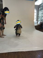 -小鬼当佳儿童摄影(回龙观店)